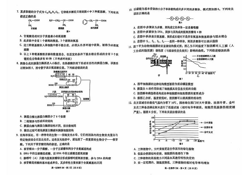 云南省昆明市寻甸回族彝族自治县民族中学2024-2025学年高一上学期11月期中生物试题02