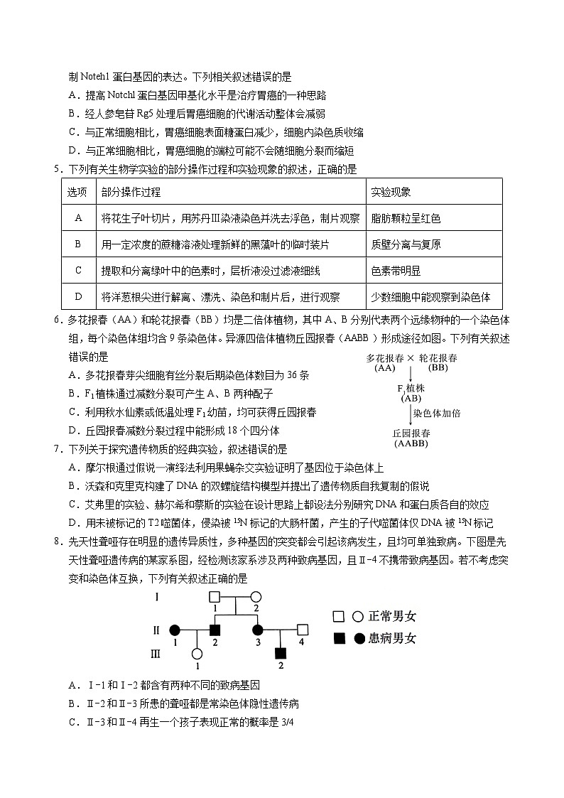 2024-2025上学期期中生物试卷第2页