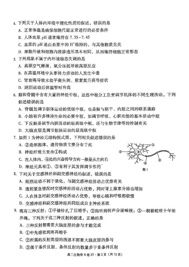 云南省昭通市第一中学教研联盟2024~2025学年高二上学期期中质量检测生物（B卷） 试题第2页