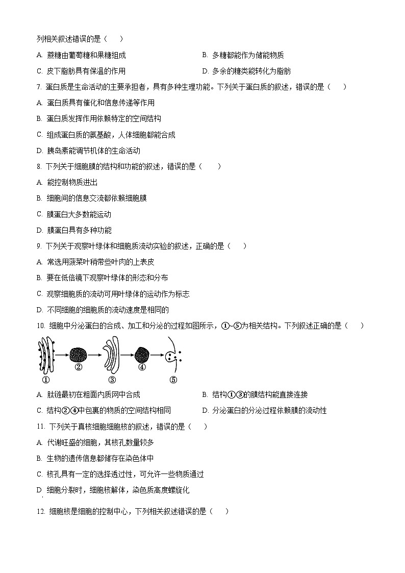 精品解析：吉林省通化市东昌区通化市第一中学校2024-2025学年高一上学期11月期中生物试题（原卷版）第2页