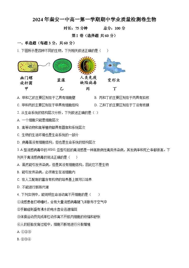 精品解析：甘肃省天水市秦安县第一中学2024-2025学年高一上学期11月期中生物试题（原卷版）第1页