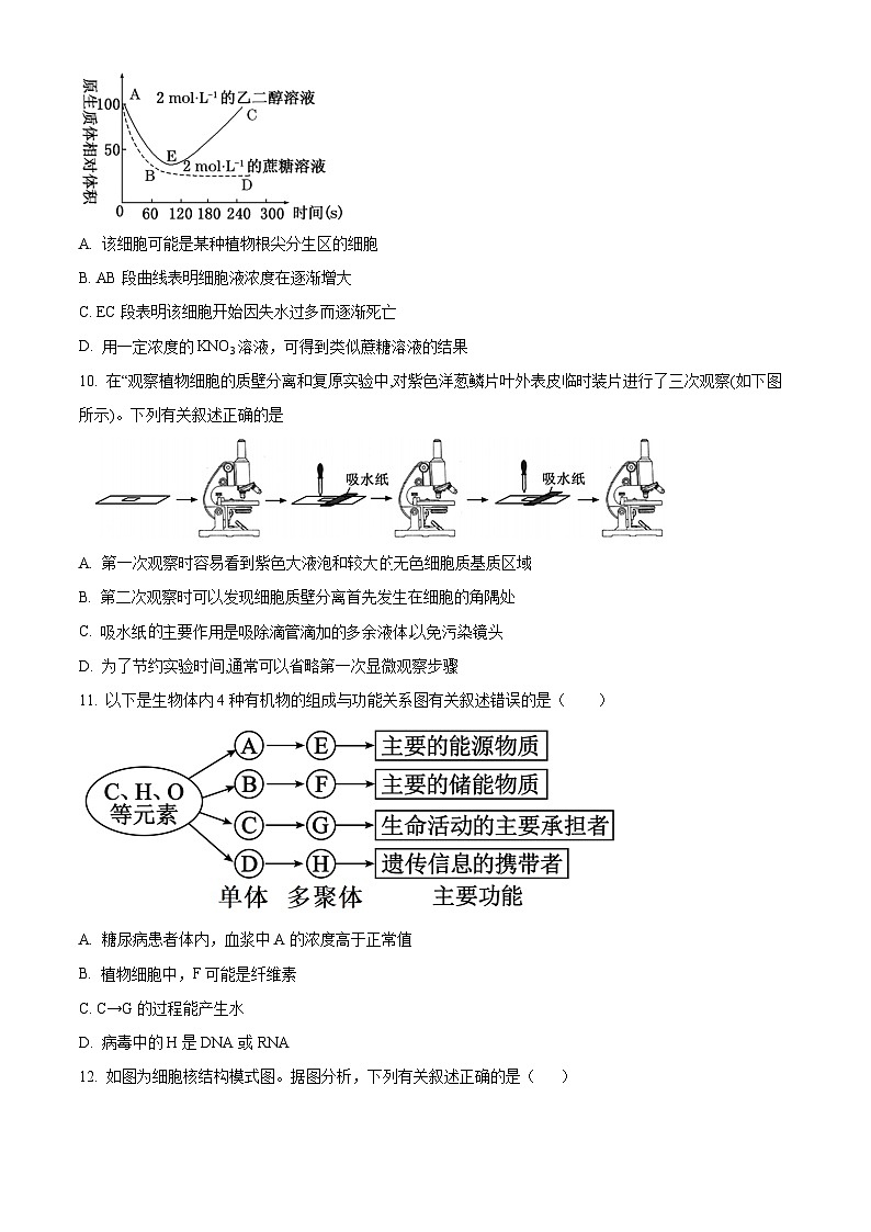 精品解析：甘肃省天水市秦安县第一中学2024-2025学年高一上学期11月期中生物试题（原卷版）第3页