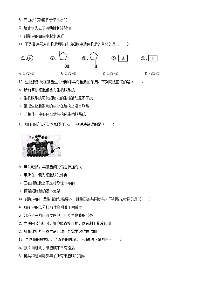精品解析：吉林省吉黑十校联考2024-2025学年高一上学期11月期中生物试题（原卷版）第3页