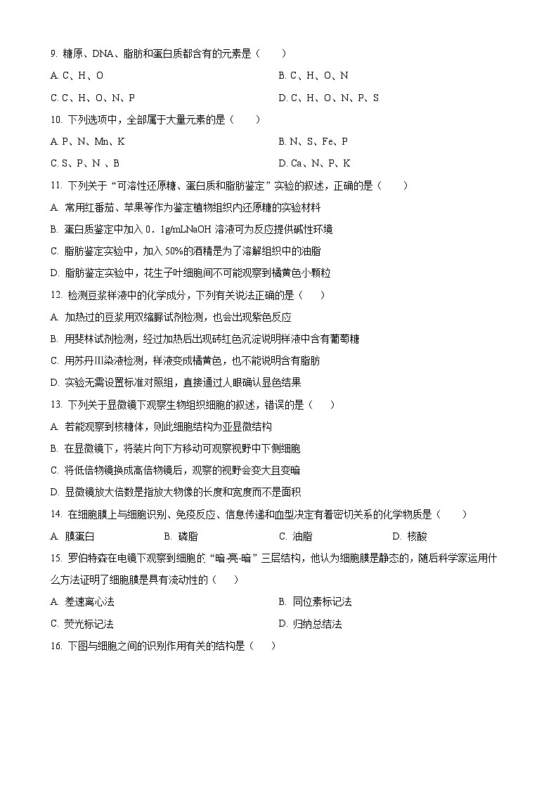 精品解析：甘肃省武威市凉州区2024-2025学年高一上学期期中质量检测生物试卷（原卷版）第2页