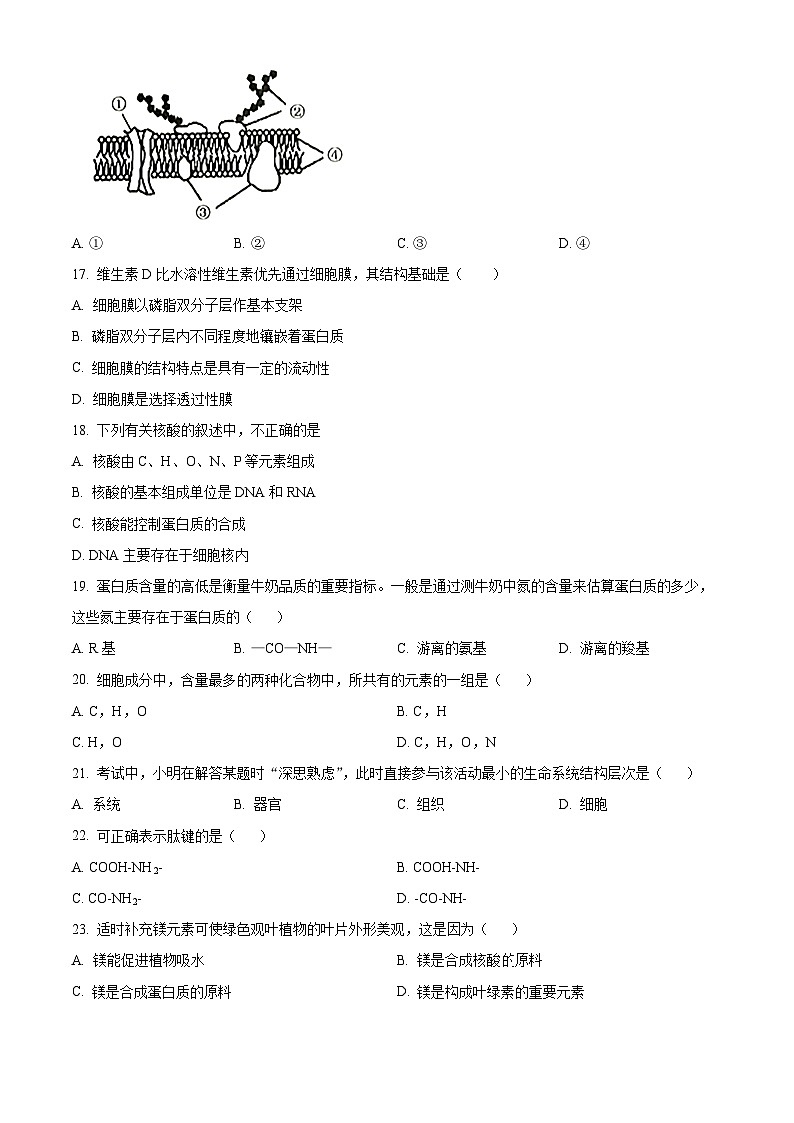 精品解析：甘肃省武威市凉州区2024-2025学年高一上学期期中质量检测生物试卷（原卷版）第3页