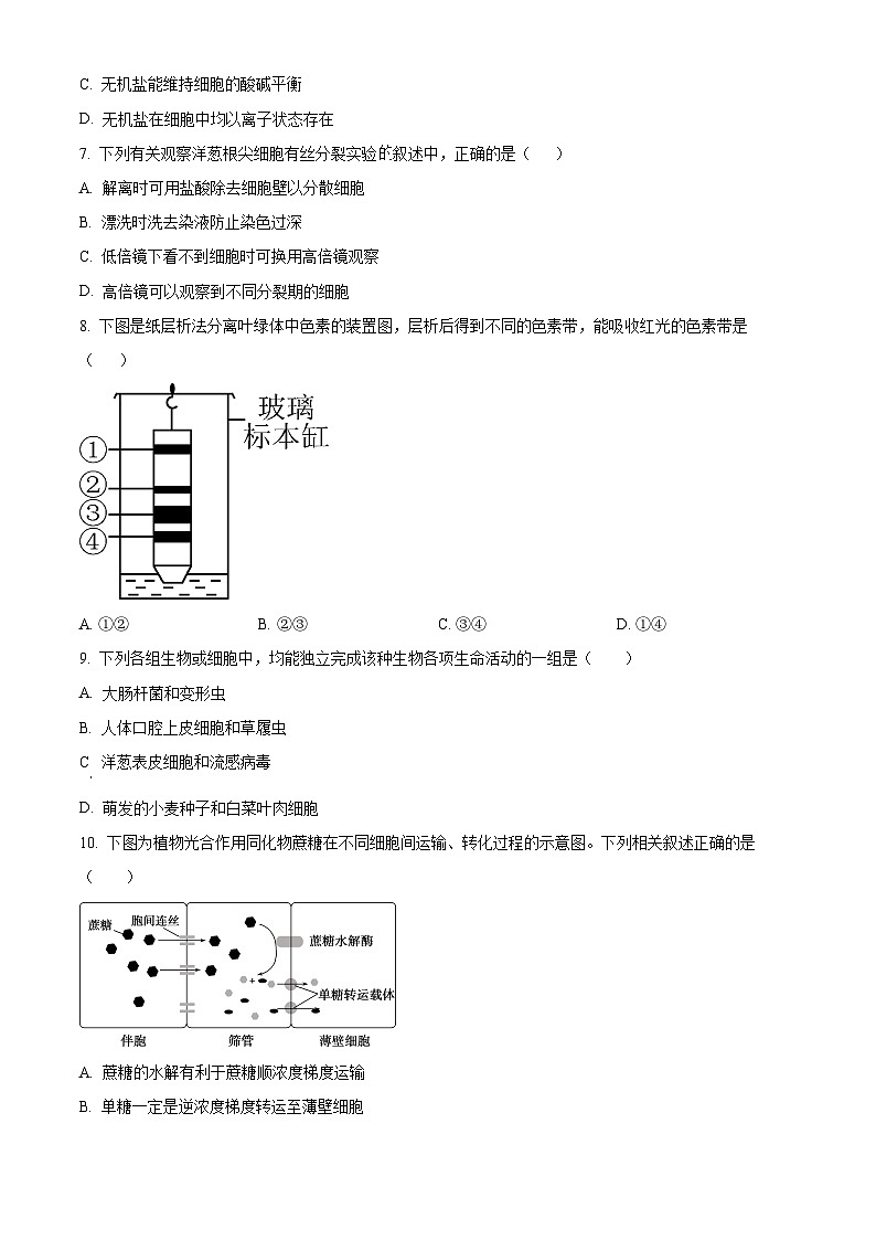 精品解析：甘肃省天水市第一中学2024-2025学年高一上学期11月期中生物试题（原卷版）第2页