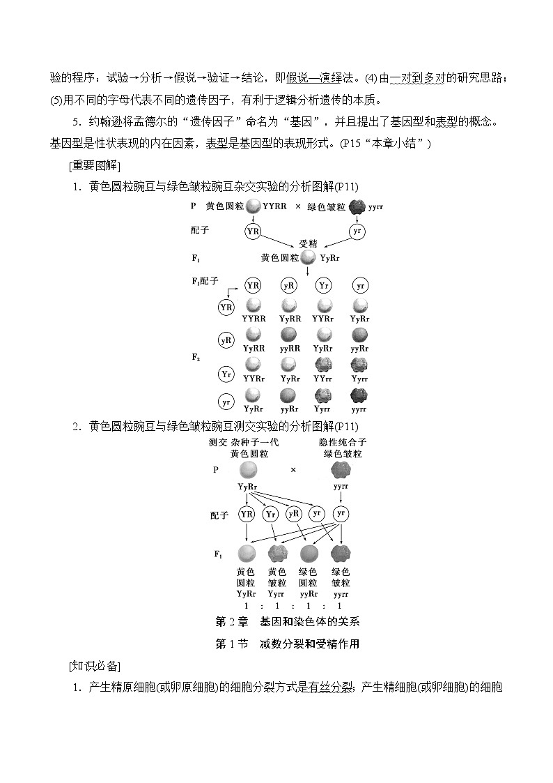 人教版（2019）高中生物必修2 遗传与进化 知识点考点复习提纲03
