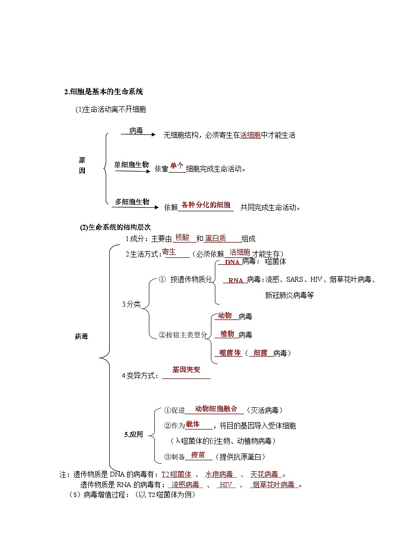 人教版（2019）高中生物必修1《分子与细胞》知识点考点复习提纲第2页
