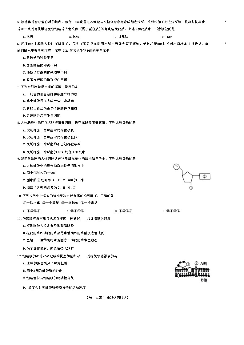 高一三晋联盟生物学试题第2页