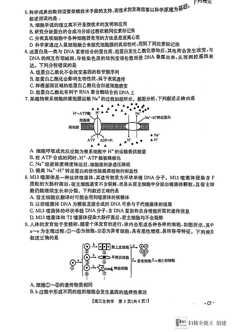 陕西省渭南市韩城市2024-2025学年高三上学期期中考试生物试题02