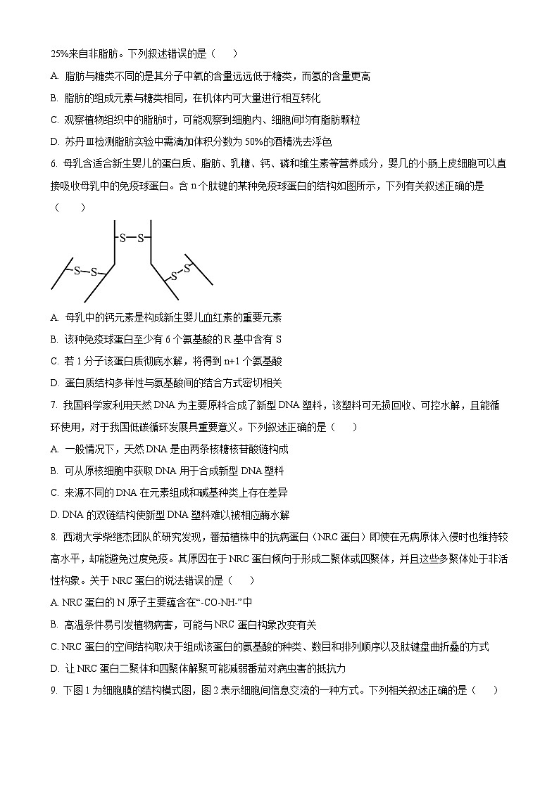 湖南省长沙市湖南师范大学附属中学2024-2025学年高一上学期期中考试生物试卷无答案第2页