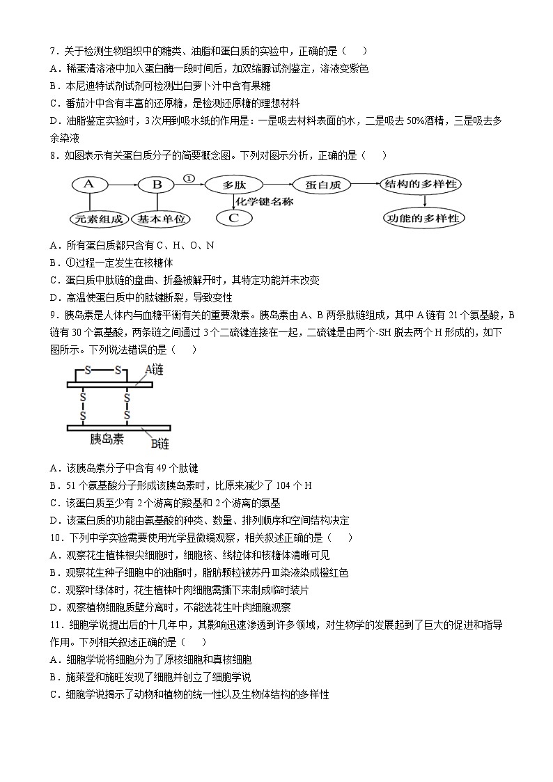 2025台州台州十校联考高一上学期期中考试生物试题含答案第2页