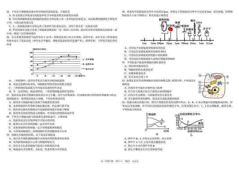 2025成都树德中学高一上学期期中生物试题PDF版含答案第3页