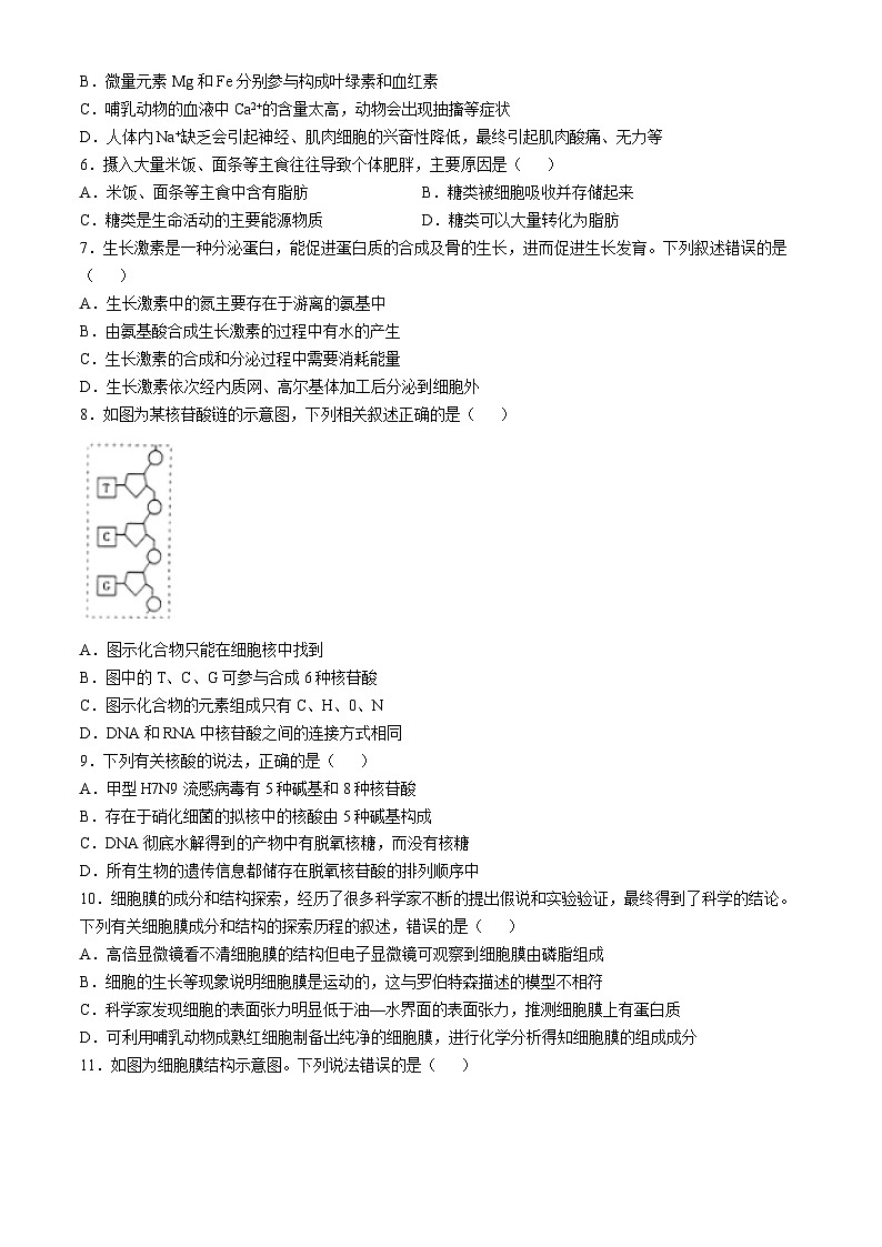 2025信阳罗山县高一上学期11月期中生物试题含解析第2页