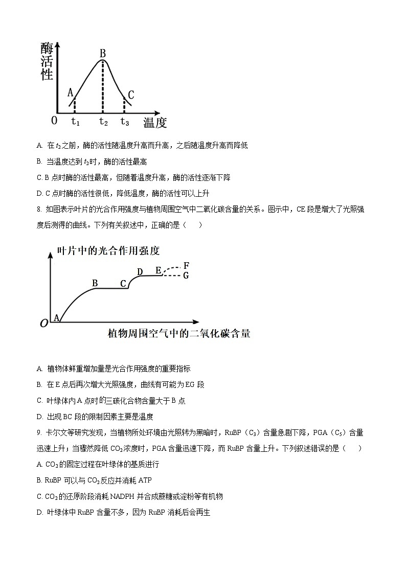 河南省信阳市息县三校联考2024-2025学年高一上学期11月期中生物试题无答案第3页