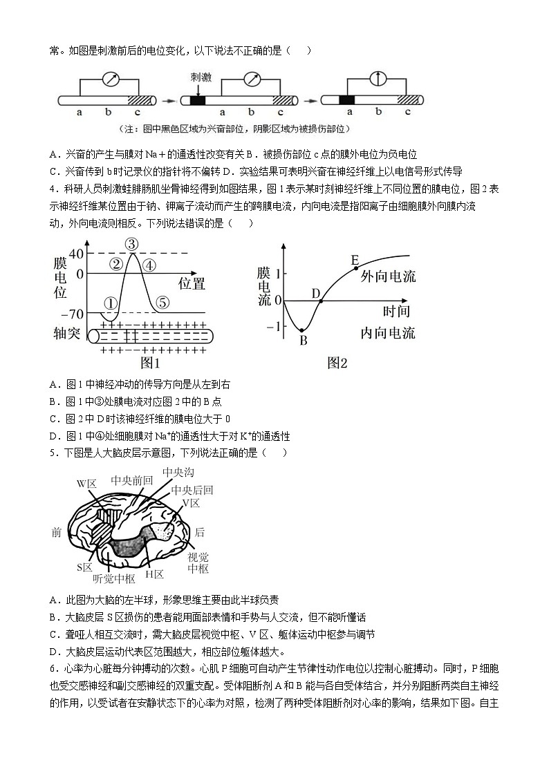 四川省南充市嘉陵区四川省南充市嘉陵第一中学2024-2025学年高二上学期11月期中生物试题第2页