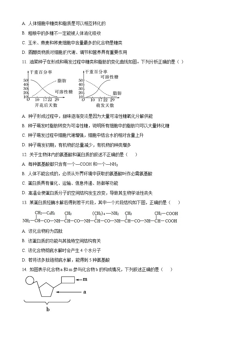 精品解析：浙江省宁波市三锋联盟2024-2025学年高一上学期11月期中生物试题03