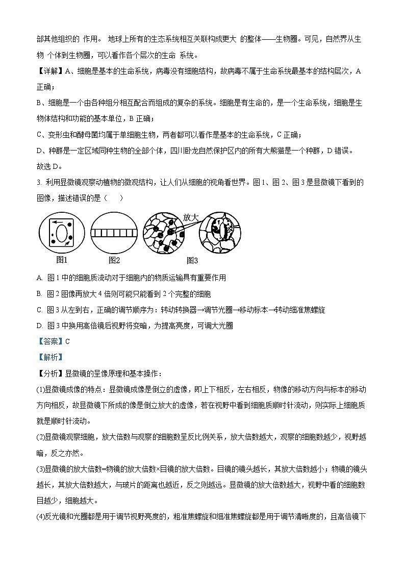 精品解析：安徽省宿州市皖北联考2024-2025学年高一上学期11月期中生物试题02