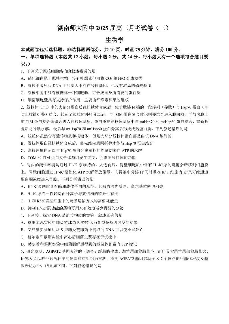 生物丨湖南省长沙市湖南师范大学附属中学2025届高三11月月考（三）生物试卷及答案第1页