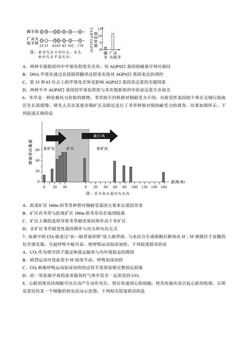 生物丨湖南省长沙市湖南师范大学附属中学2025届高三11月月考（三）生物试卷及答案第2页