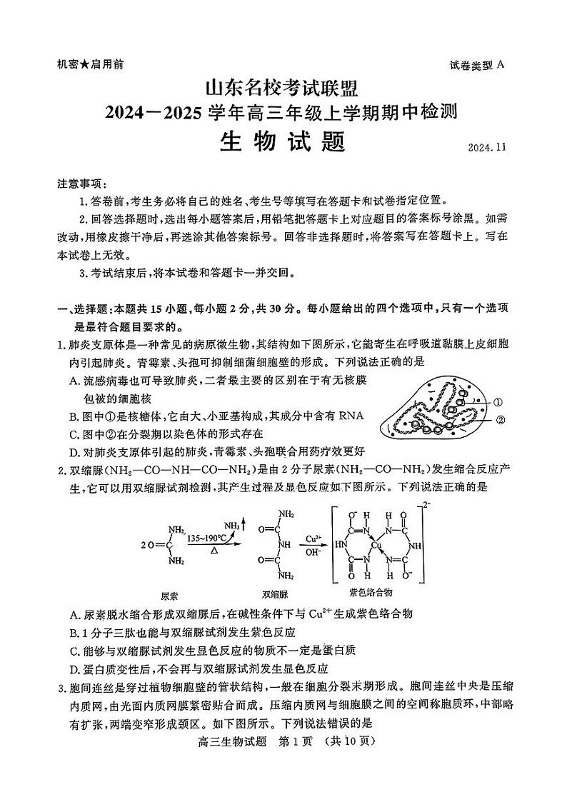 生物丨山东省名校考试联盟2025届高三11月期中检测生物试卷及答案01