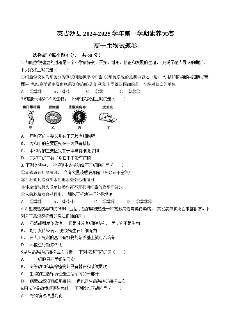 新疆维吾尔自治区喀什地区英吉沙县2024-2025学年高一上学期11月期中生物试题(无答案)第1页