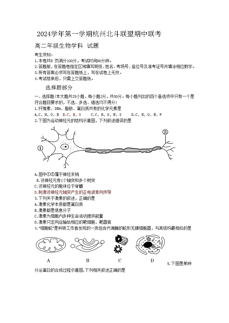 浙江省杭州市北斗联盟2024-2025学年高二上学期期中联考生物试题01