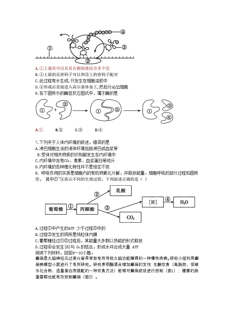 浙江省杭州市北斗联盟2024-2025学年高二上学期期中联考生物试题02
