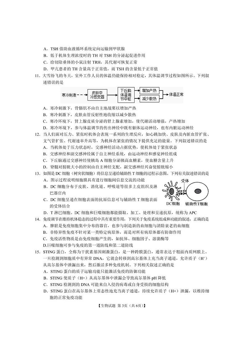 安徽省江淮名校2024-2025学年高二上学期期中考试生物试卷03