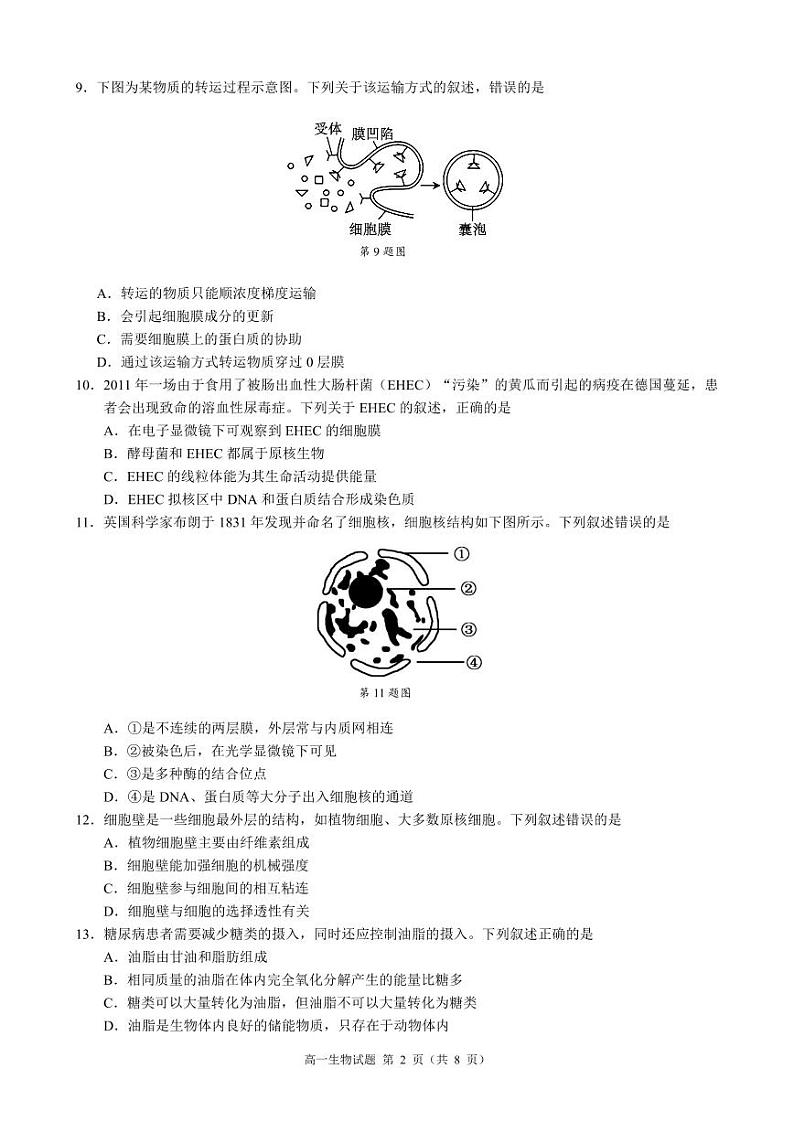 高一生物试卷第2页