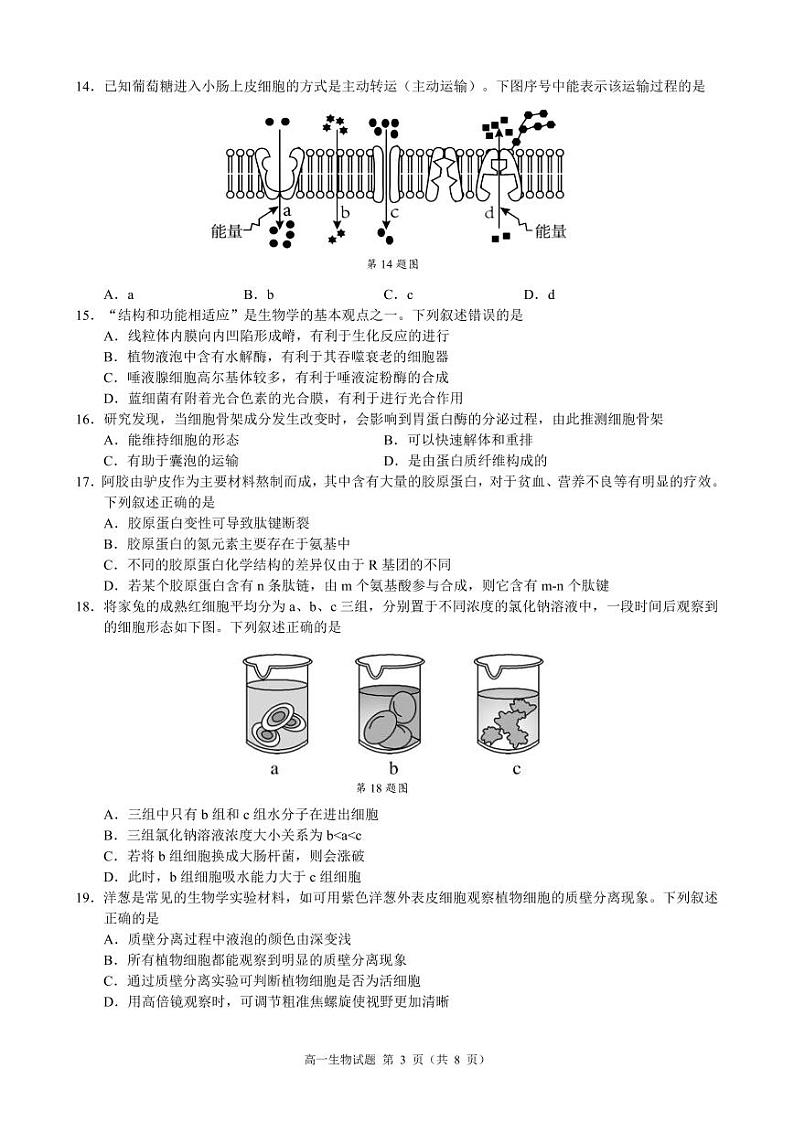 高一生物试卷第3页