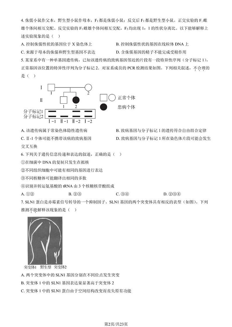 2024北京海淀高三（上）10月月考生物试卷（教师版）第2页
