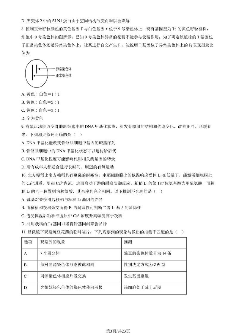 2024北京海淀高三（上）10月月考生物试卷（教师版）第3页