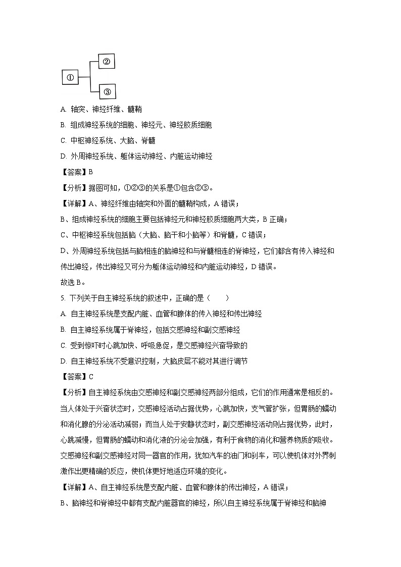 河南省十校2024-2025学年高二上学期10月月考生物试卷（解析版）第3页