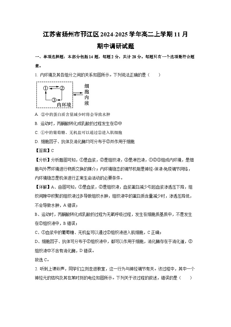 江苏省扬州市邗江区2024-2025学年高二上学期11月期中调研生物试卷（解析版）第1页