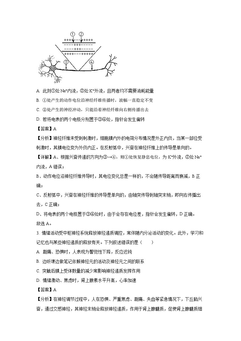 江苏省扬州市邗江区2024-2025学年高二上学期11月期中调研生物试卷（解析版）第2页