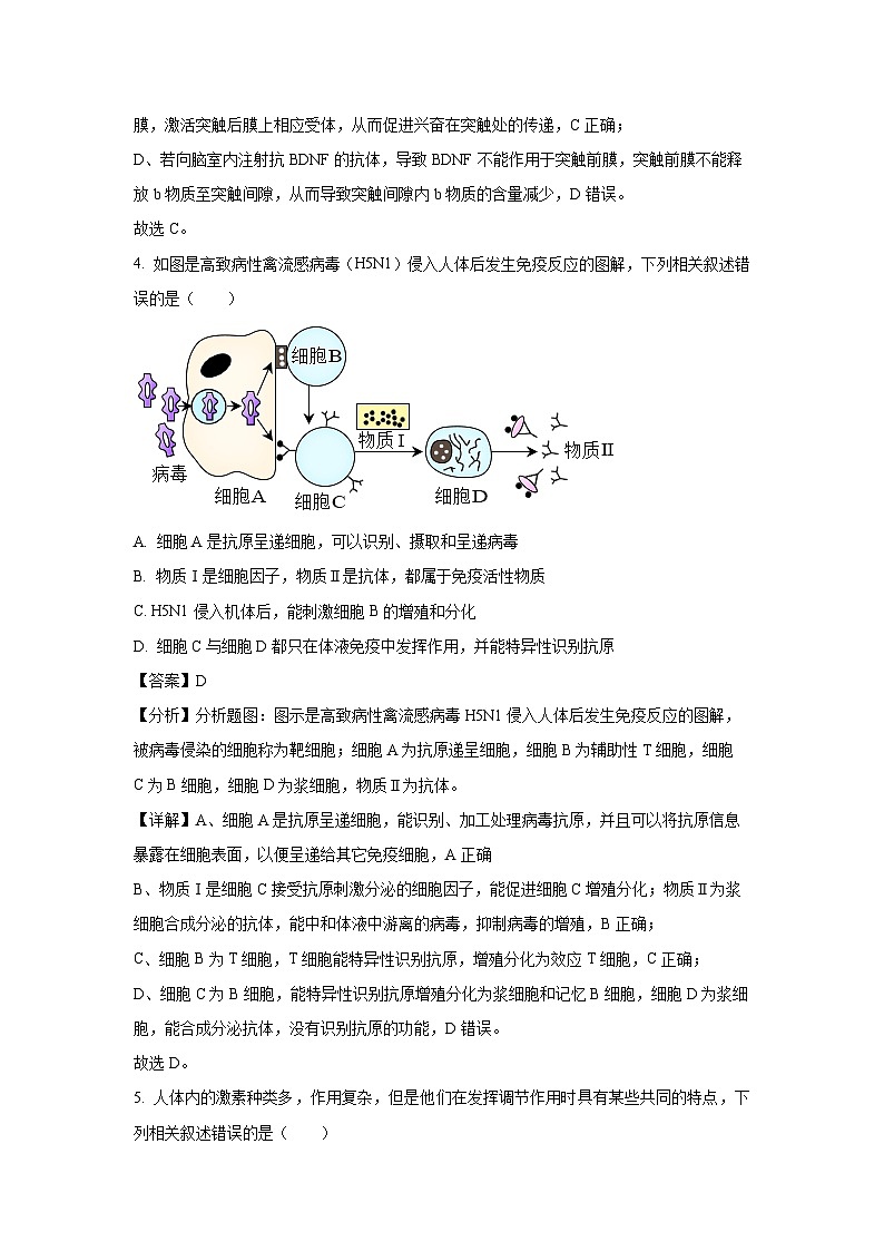 山东省淄博市高青县第一中学2024-2025学年高二上学期期中考试 生物试卷（解析版）第3页