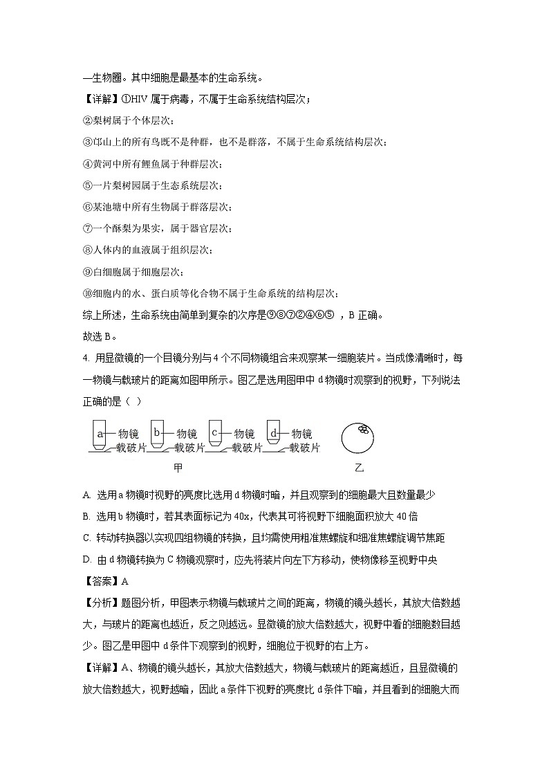 安徽省合肥市庐江中学2024-2025学年高二上学期9月月考题生物试卷（解析版）03