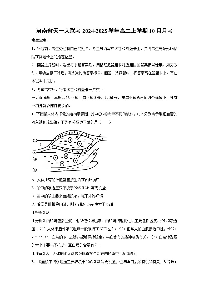 河南省天一大联考2024-2025学年高二上学期10月月考生物试卷（解析版）第1页