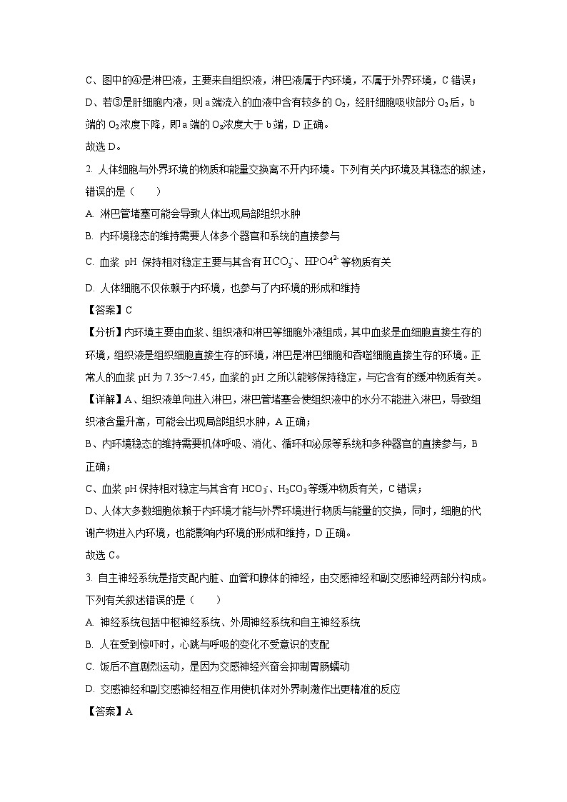 河南省天一大联考2024-2025学年高二上学期10月月考生物试卷（解析版）第2页
