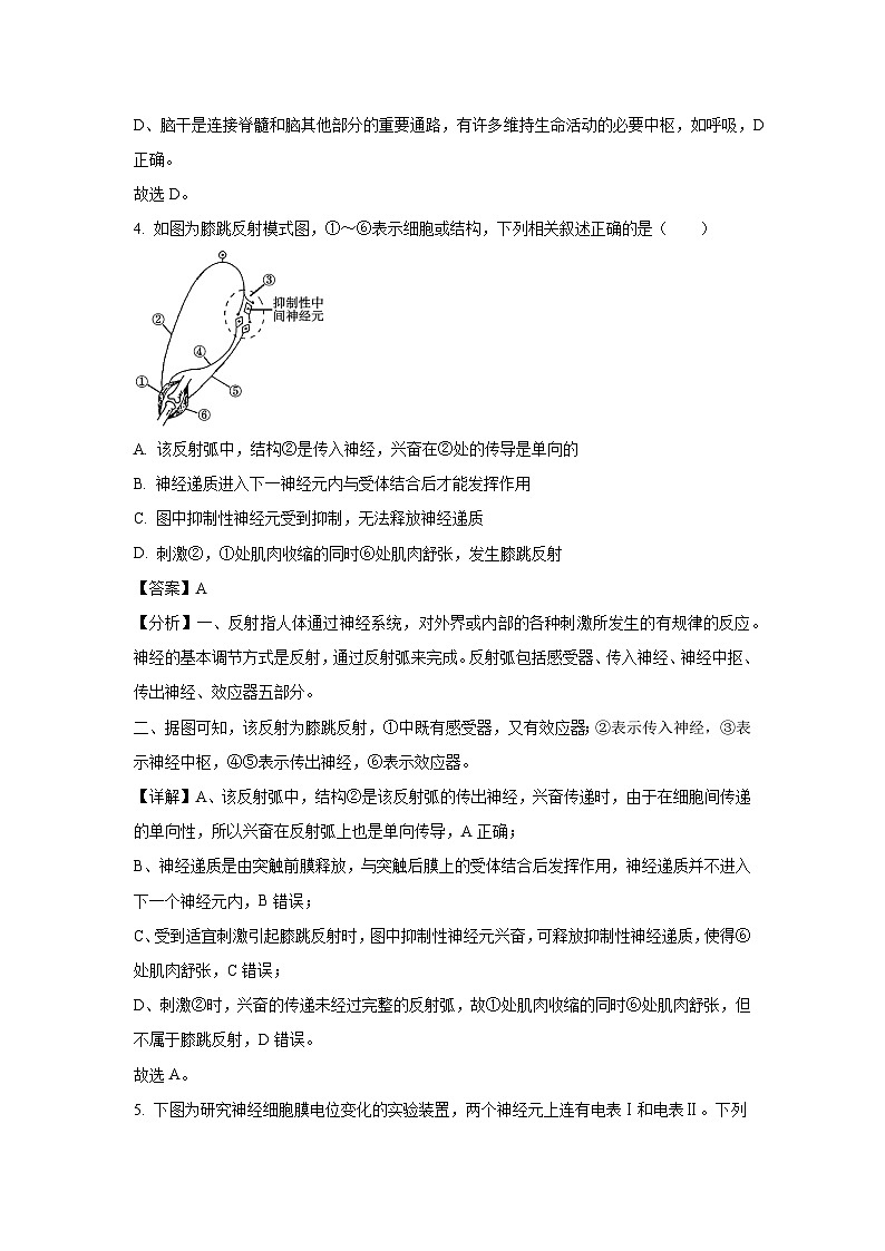 江苏省南京市六校联合体2024-2025学年高二上学期10月月考生物试卷（解析版）第3页