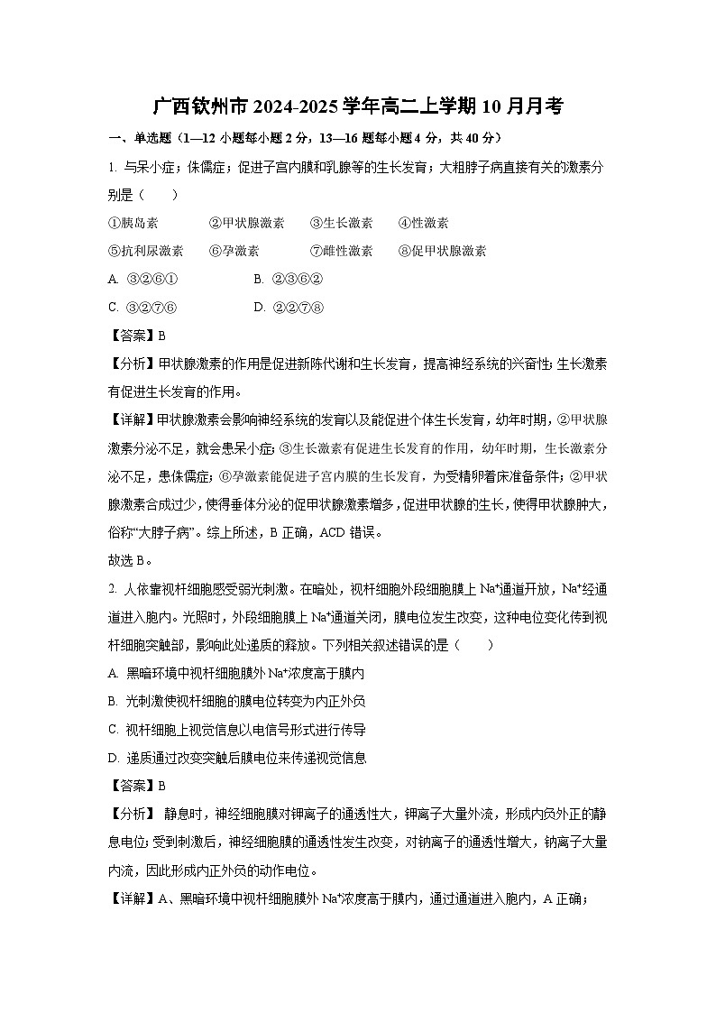 广西钦州市2024-2025学年高二上学期10月月考生物试卷（解析版）01