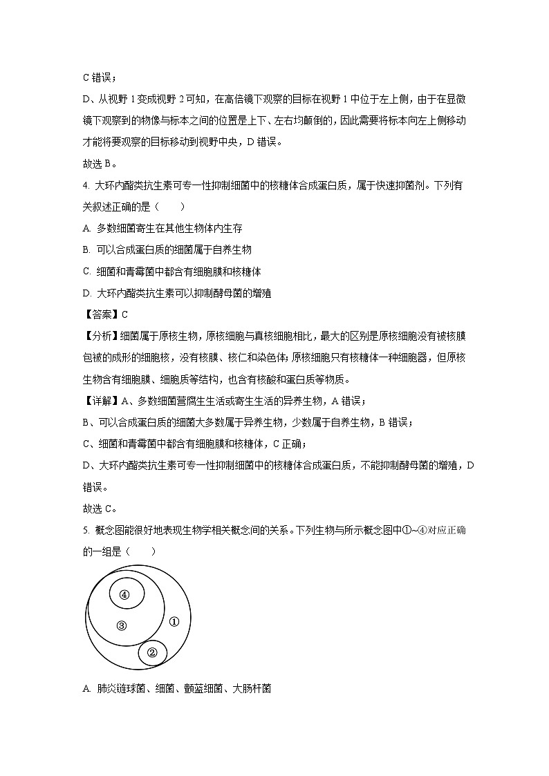 安徽省多校2024-2025学年高一上学期第一次月考生物试卷（解析版）第3页