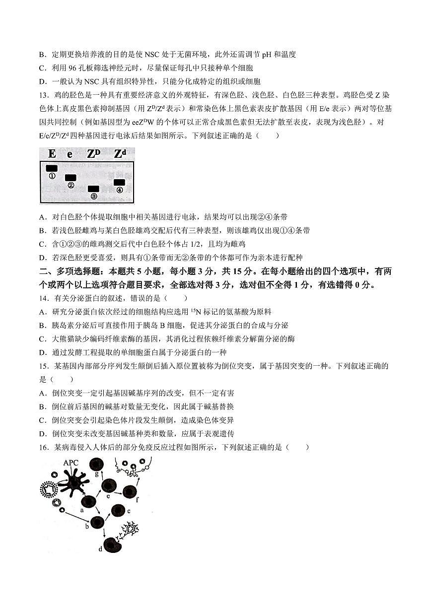 2025届河北省石家庄高三上学期11月考-生物试题+答案第3页