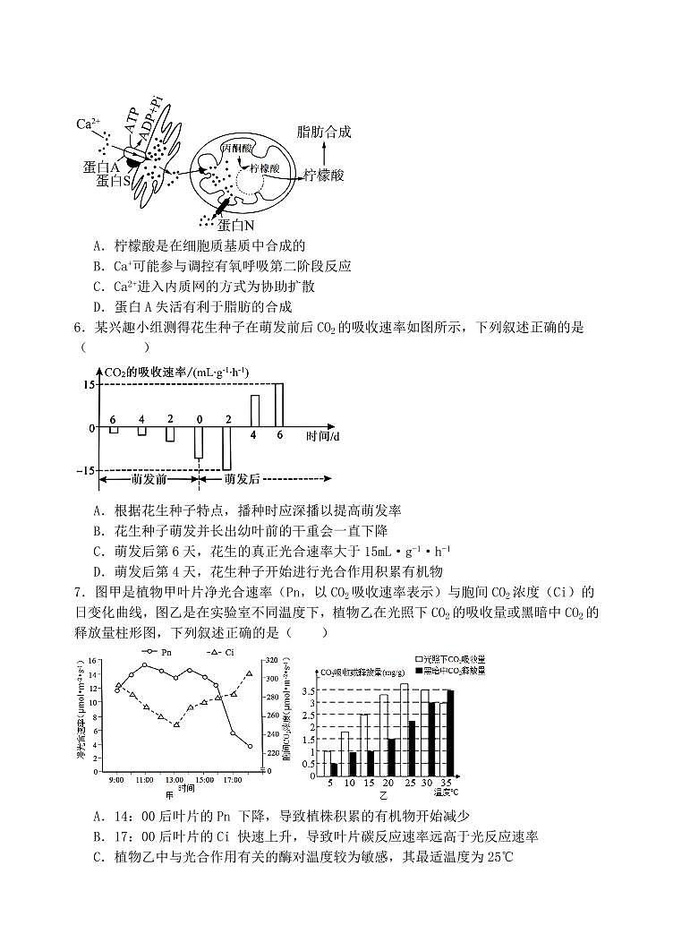 2025届黑龙江省牡丹江市高三上学期11月考-生物+答案02