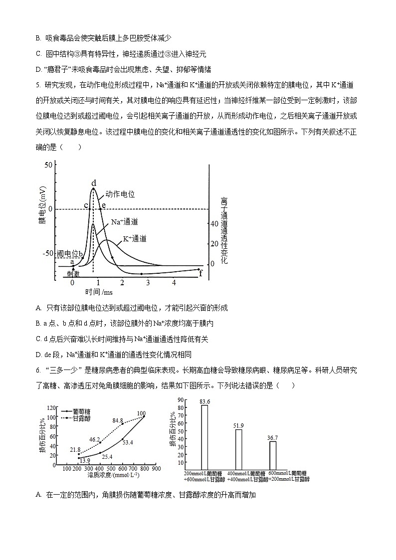长郡中学2024-2025学年高二上学期期中考试生物试卷（原卷版）第2页