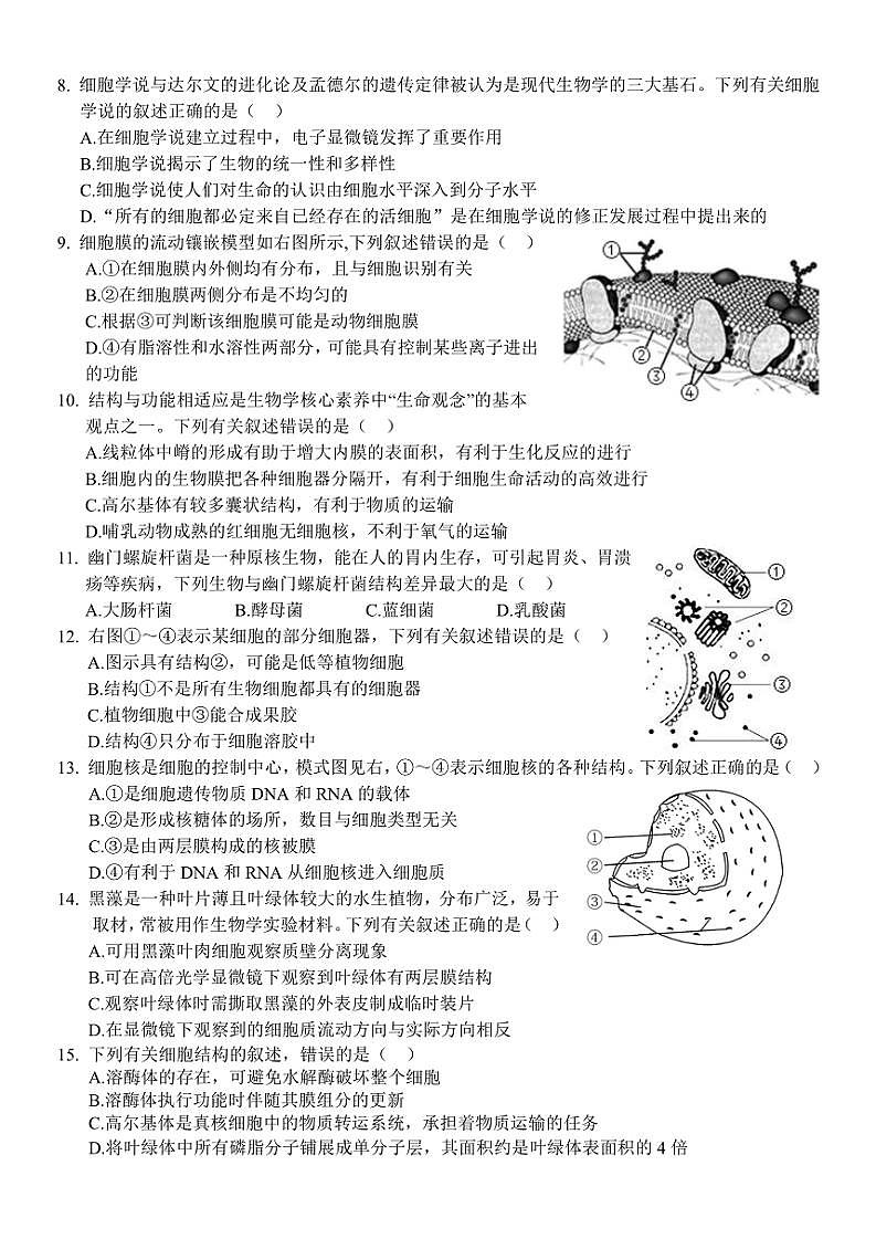 浙江省丽水市五校高中发展共同体2024～2025学年高一(上)期中联考生物试卷(含答案)第2页