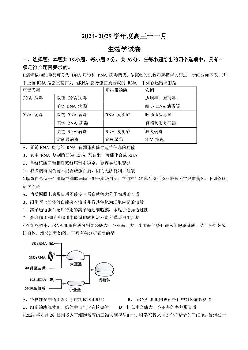 湖北省武汉市江岸区2024～2025学年高三(上)11月调考生物试卷(有答案)第1页