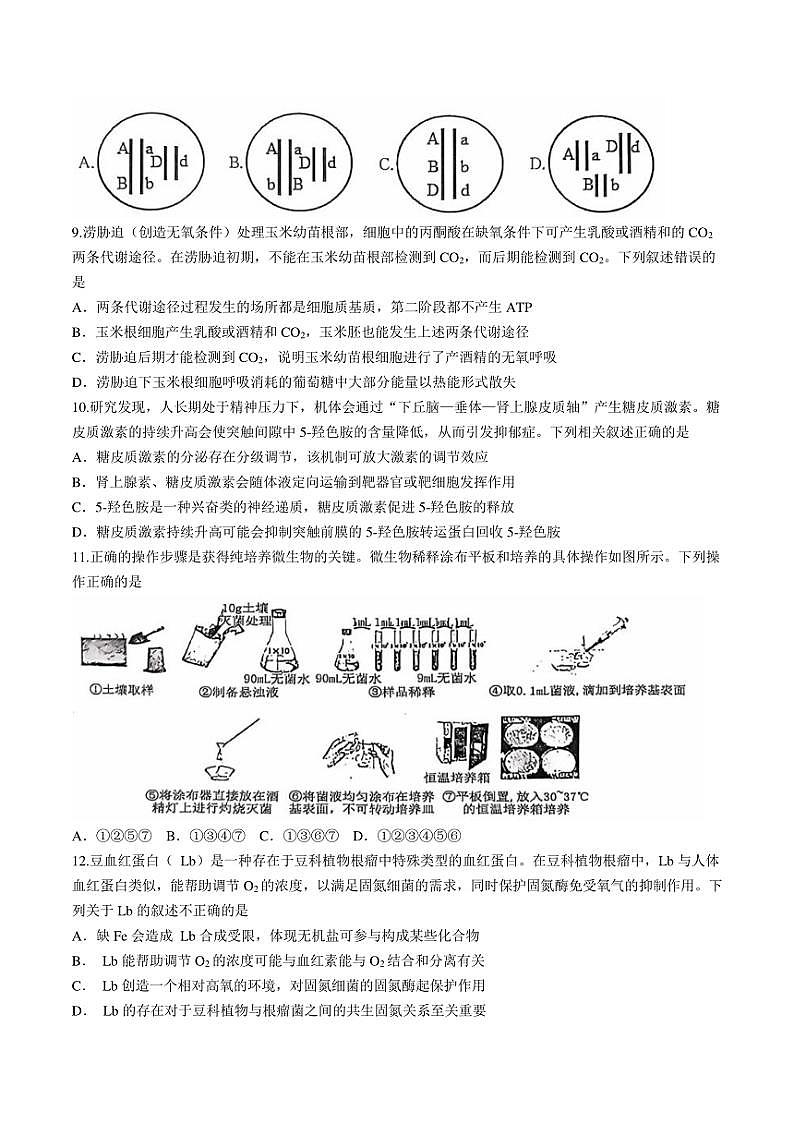 湖北省武汉市江岸区2024～2025学年高三(上)11月调考生物试卷(有答案)第3页