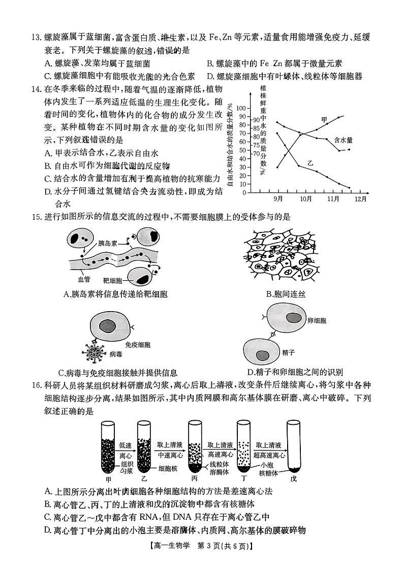 山西省临汾市尧都区临汾同盛高级中学有限公司2024～2025学年高一(上)期中生物试卷(含答案)第3页